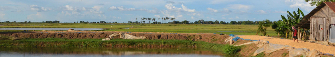 Photo of agricultural landscape and clouds
